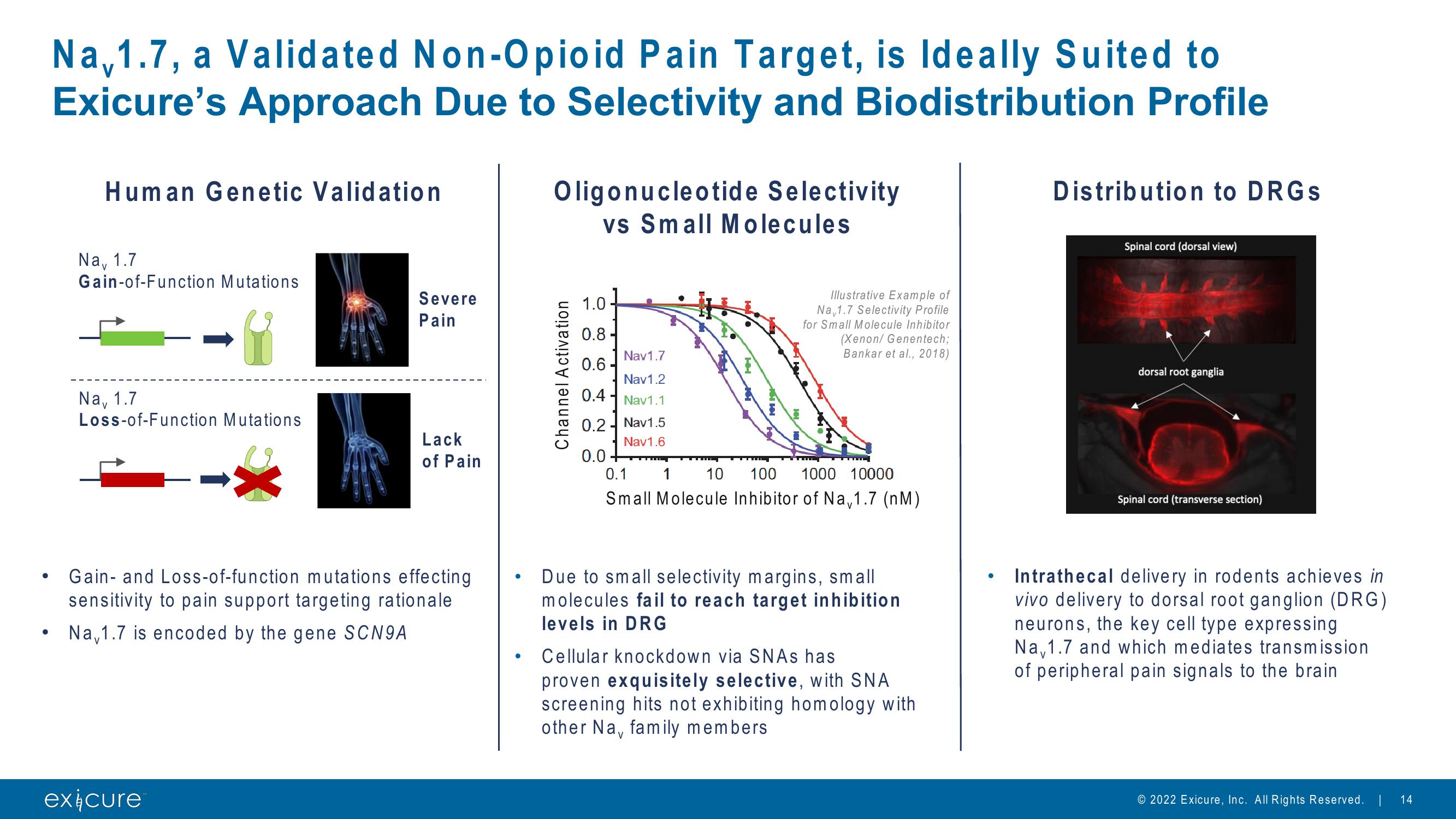 Pursuing Next Generation Nucleic Acid Therapies slide image #14