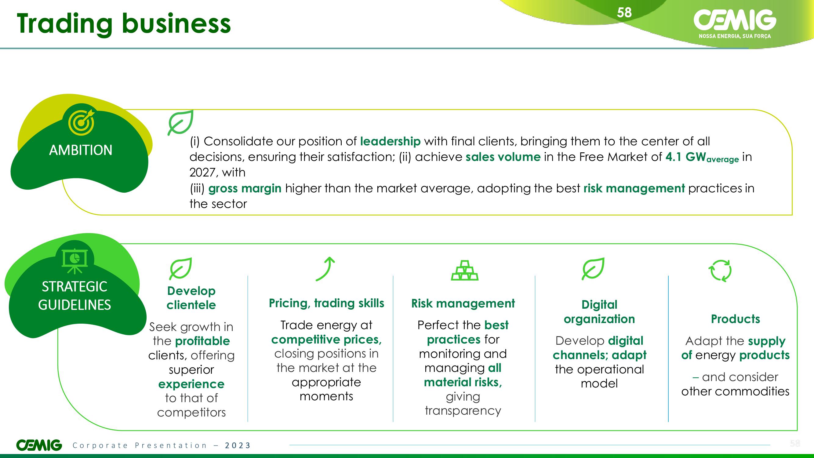 CEMIG Overview slide image #58