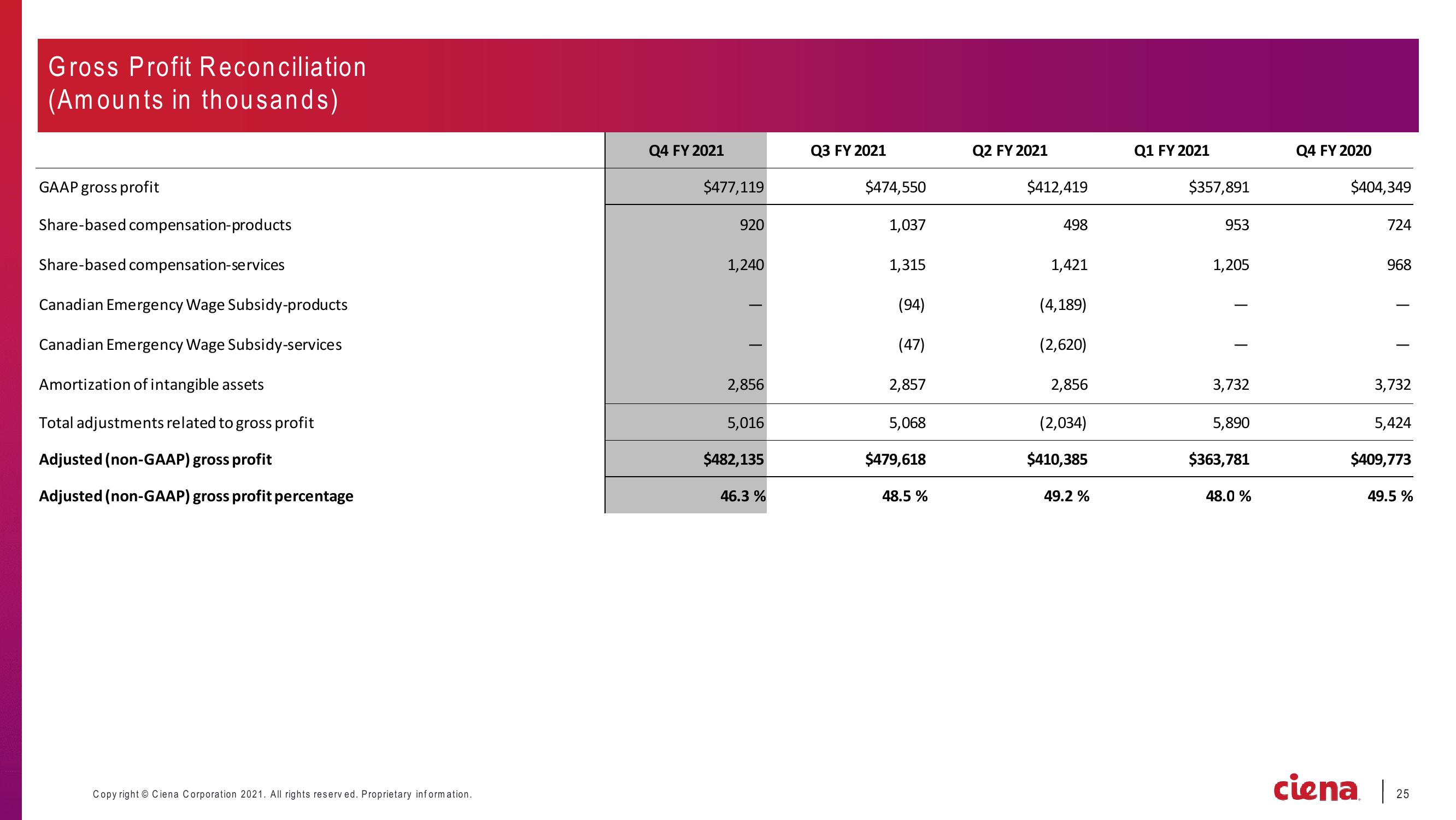 Ciena Corporation Earnings Presentation slide image #25