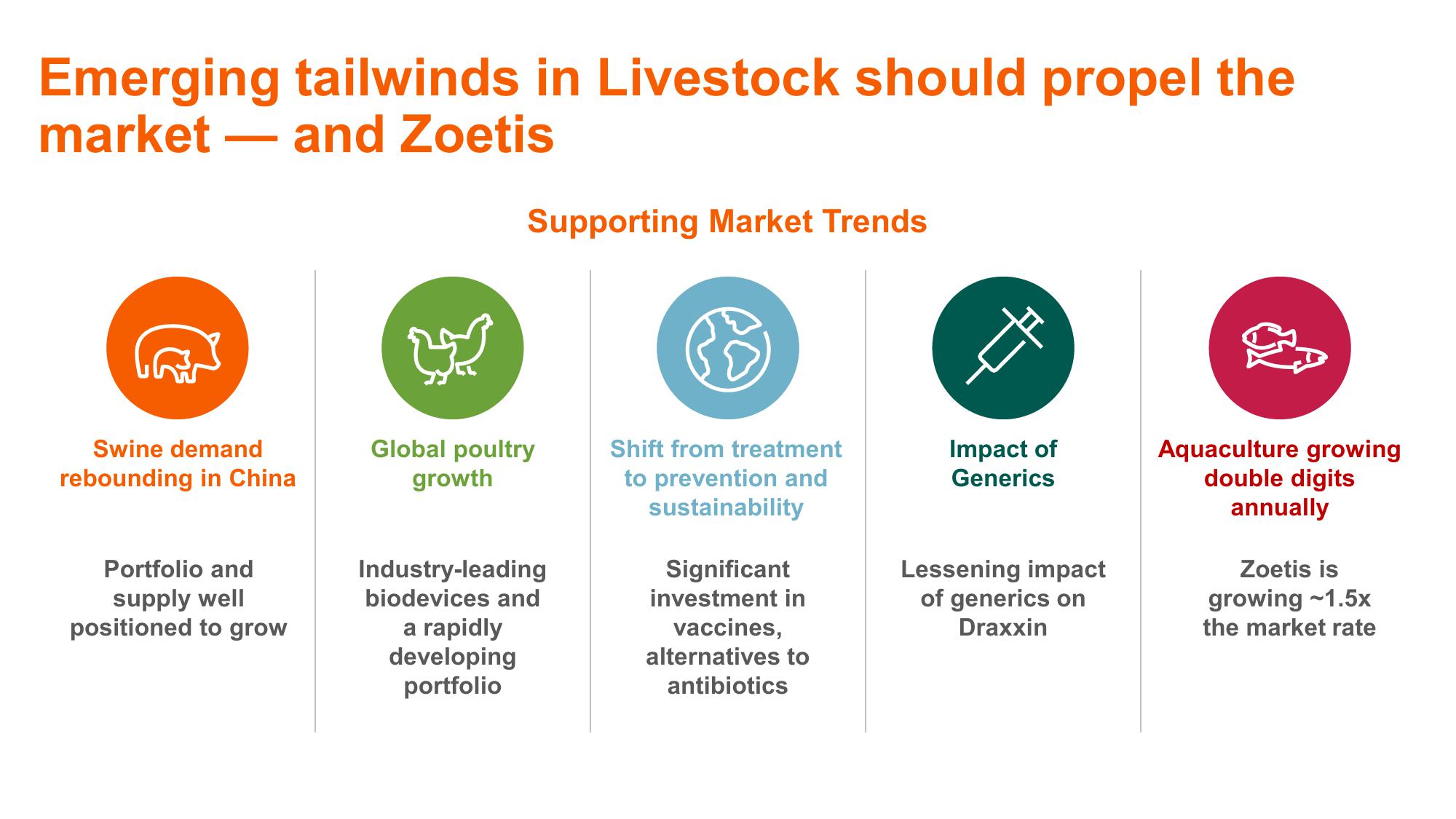 Shaping Animal Health for the Next Decade Zoetis Investor Day slide image #29