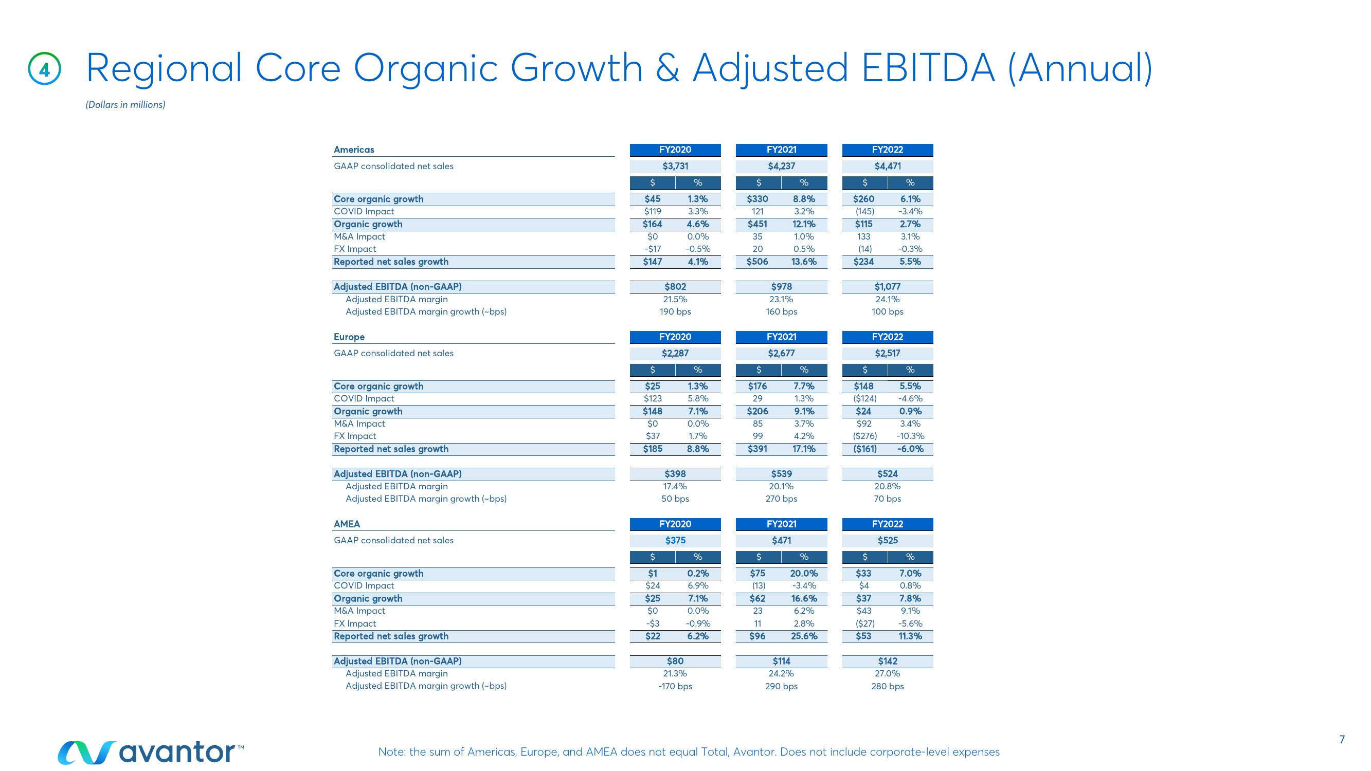 Avantor Results Presentation Deck slide image #7