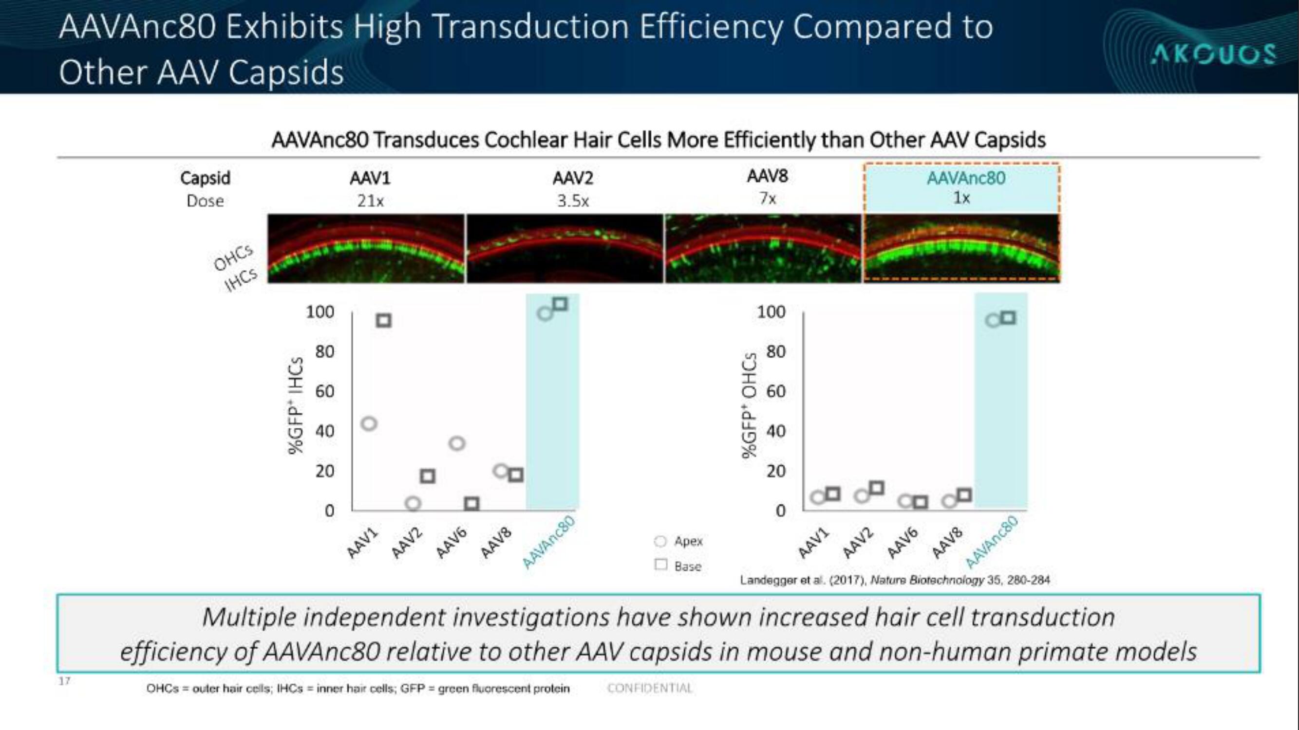 Akouos IPO Presentation Deck slide image #18