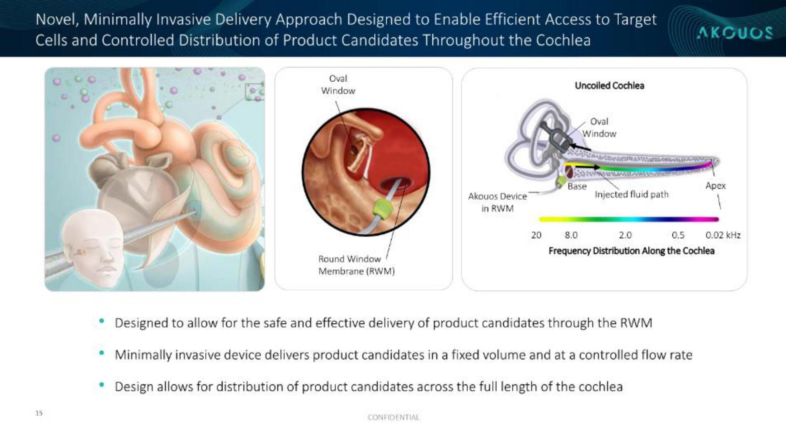 Akouos IPO Presentation Deck slide image #16