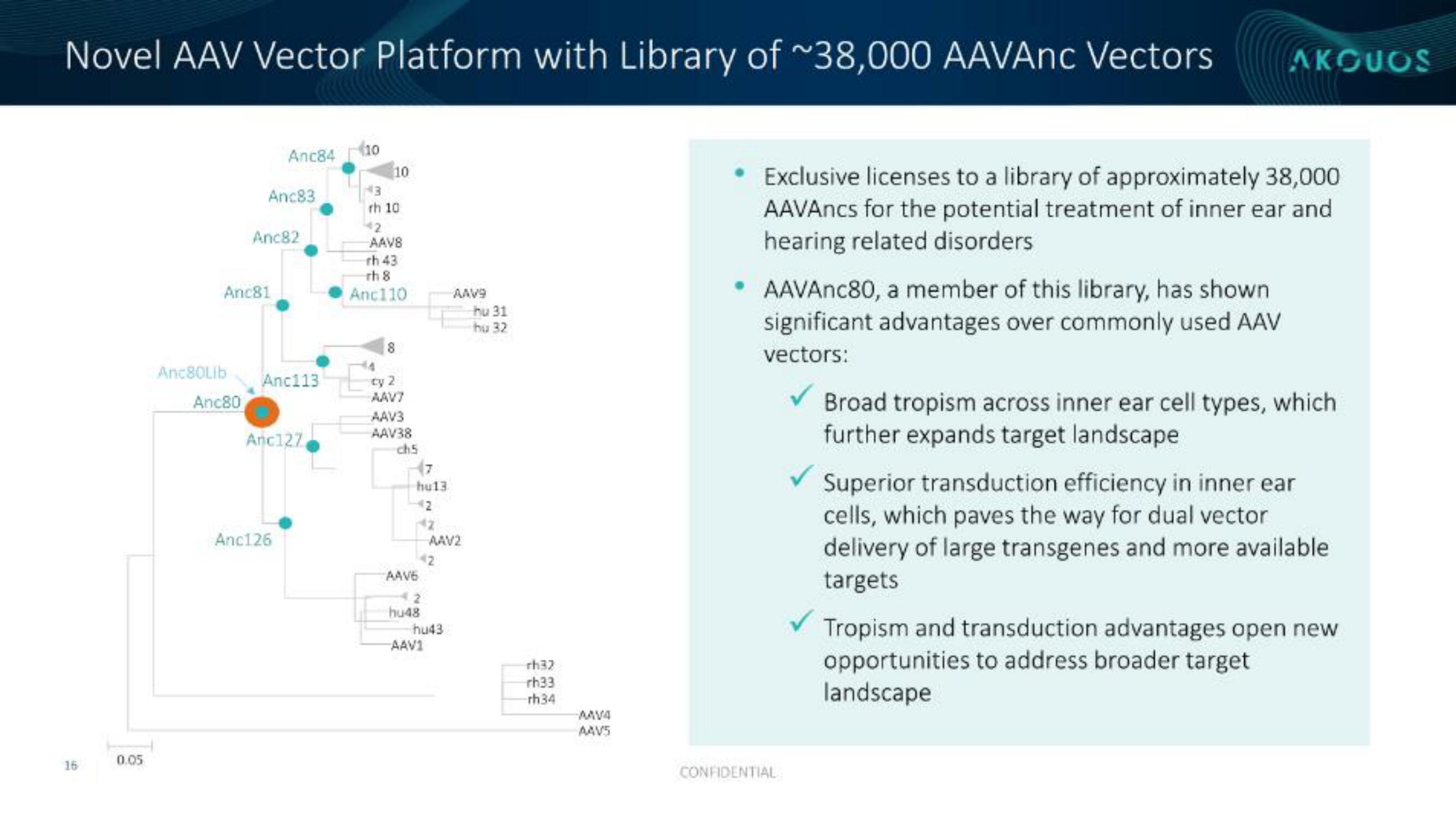 Akouos IPO Presentation Deck slide image #17