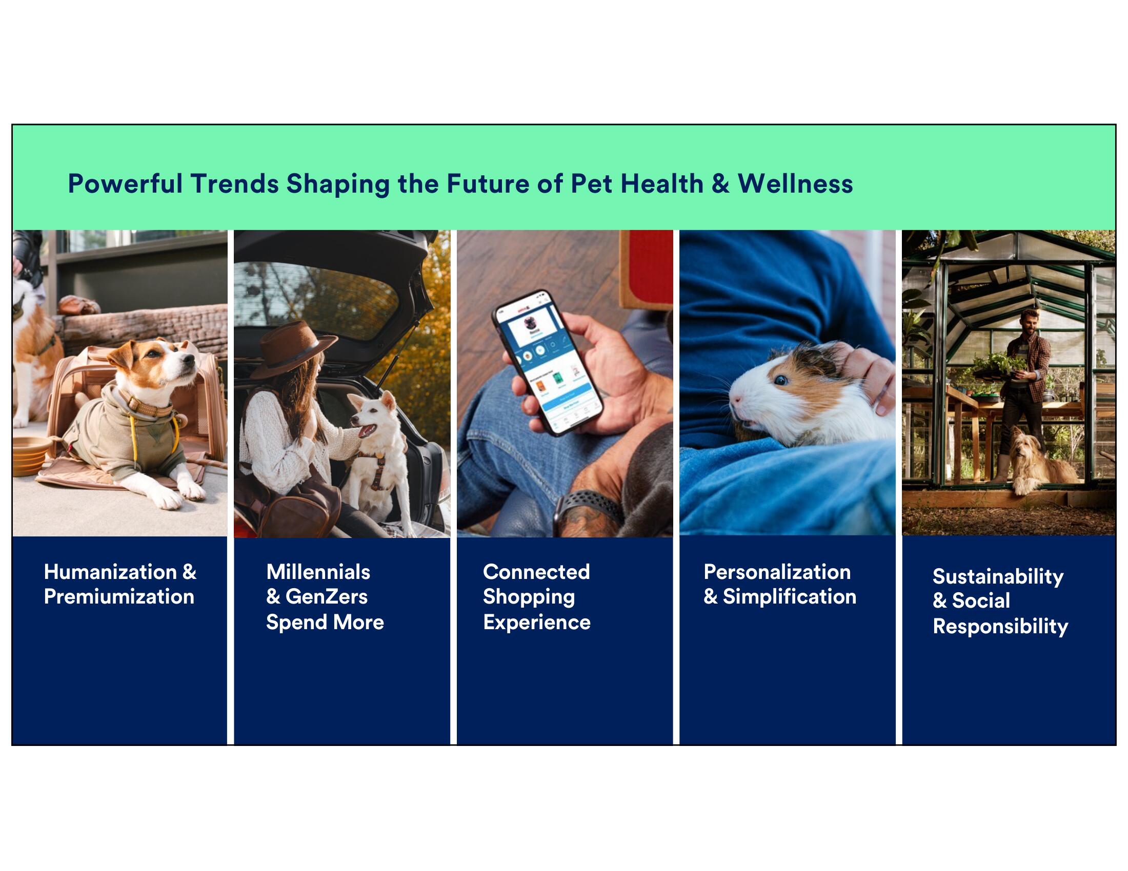 Petco Investor Day Presentation Deck slide image #9