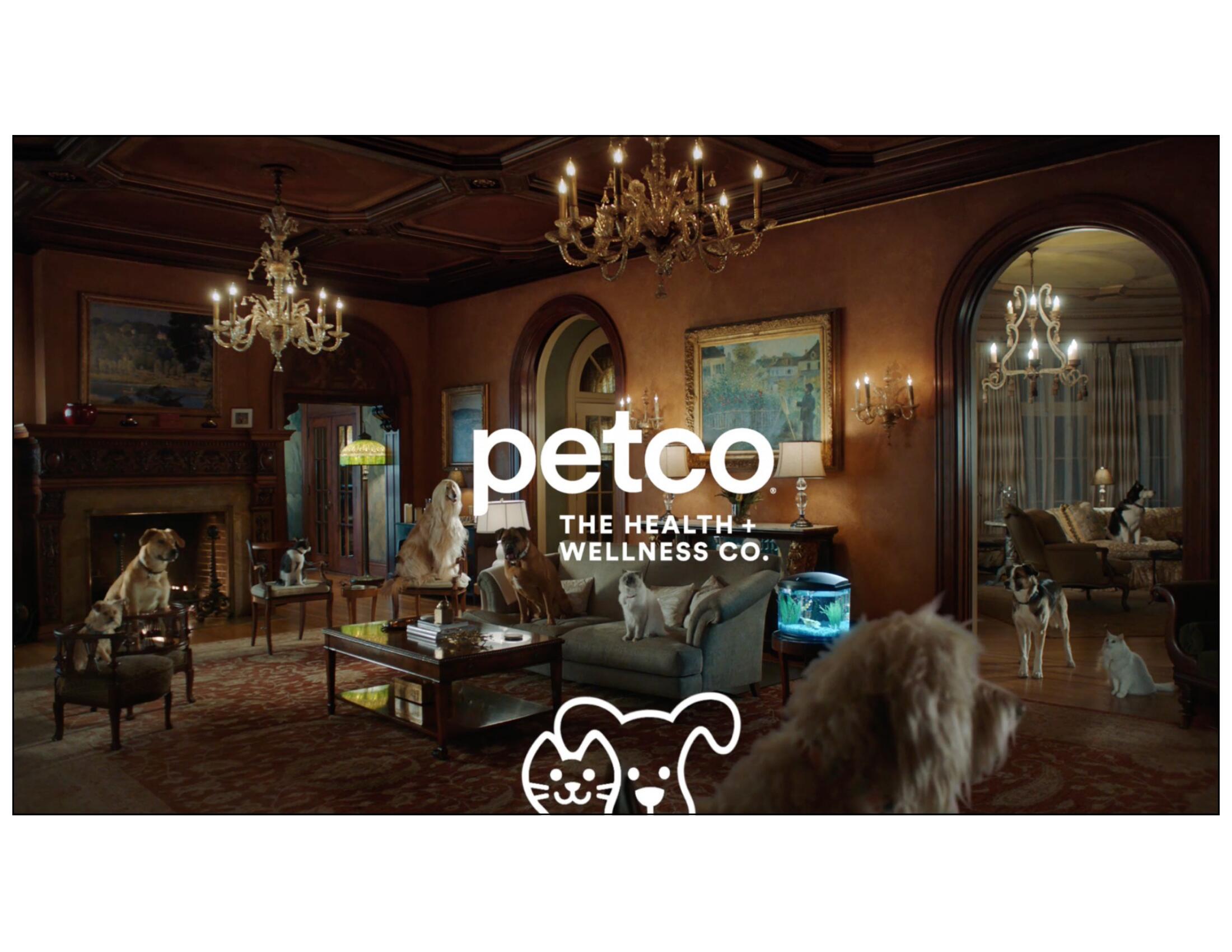 Petco Investor Day Presentation Deck slide image #93