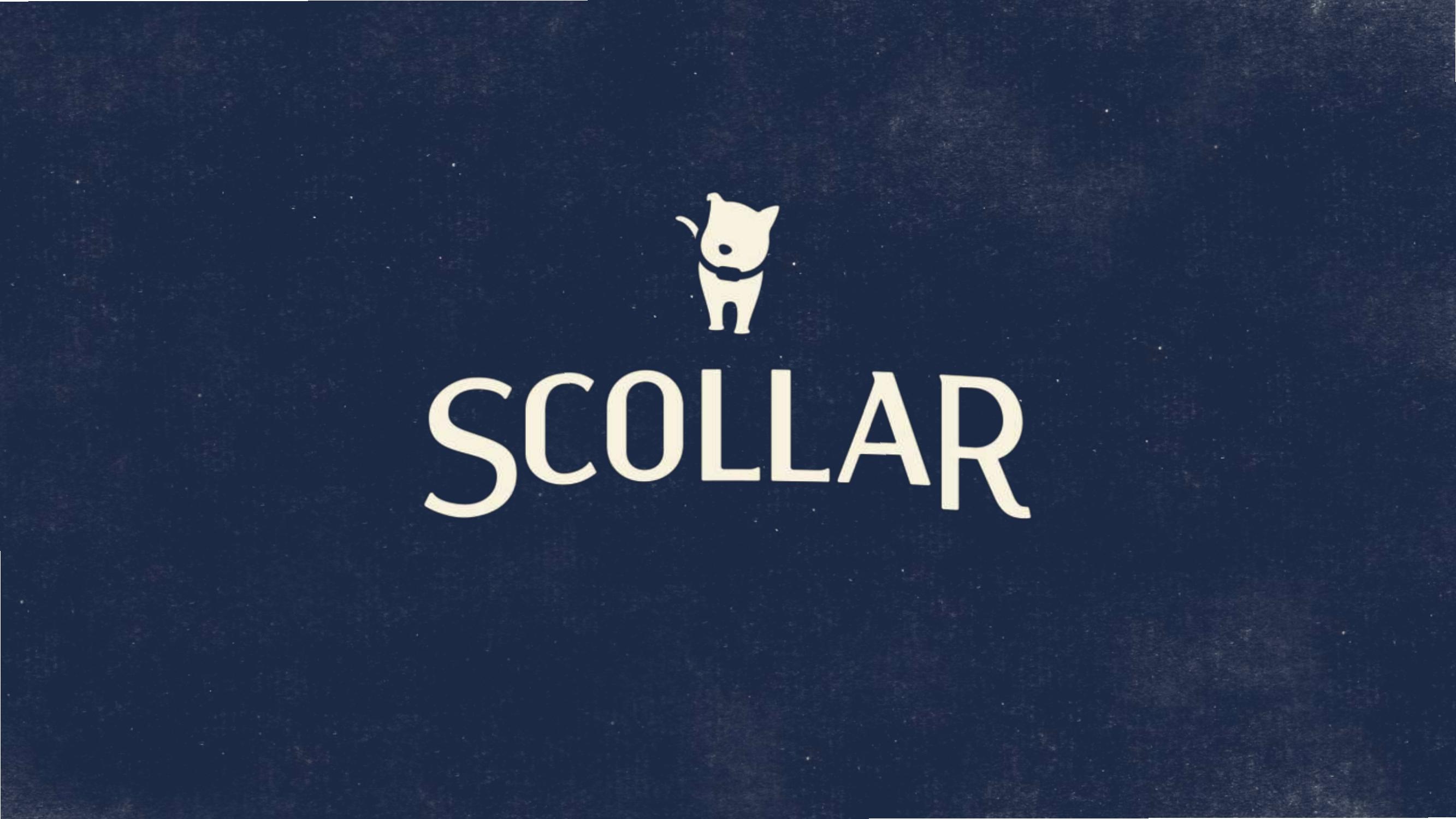 Scollar Company Presentation image