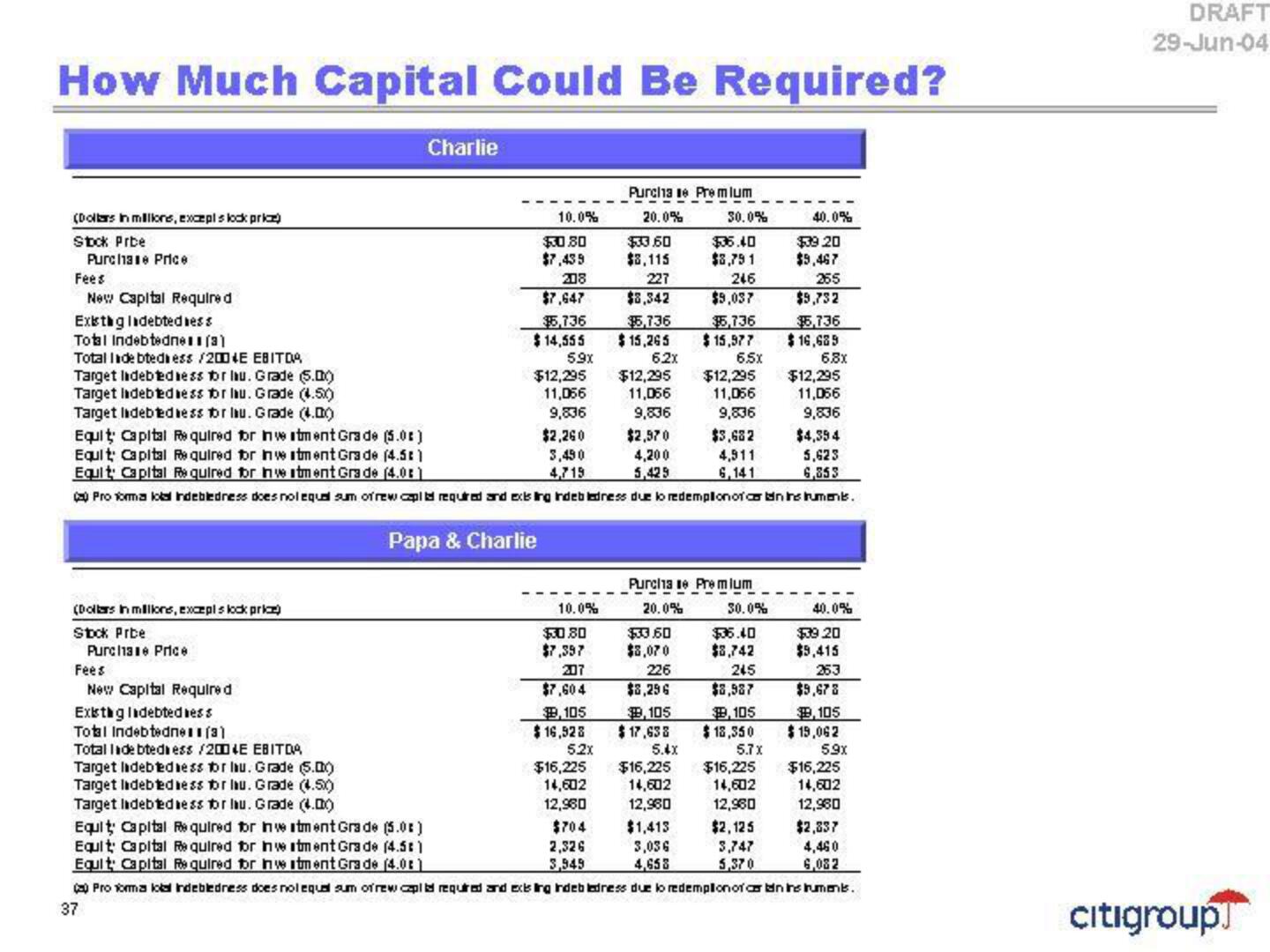 Citi Investment Banking Pitch Book slide image #41