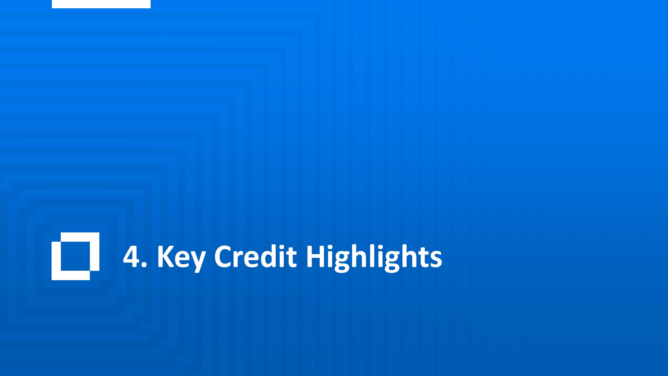 Micro Focus Credit Presentation Deck slide image #21