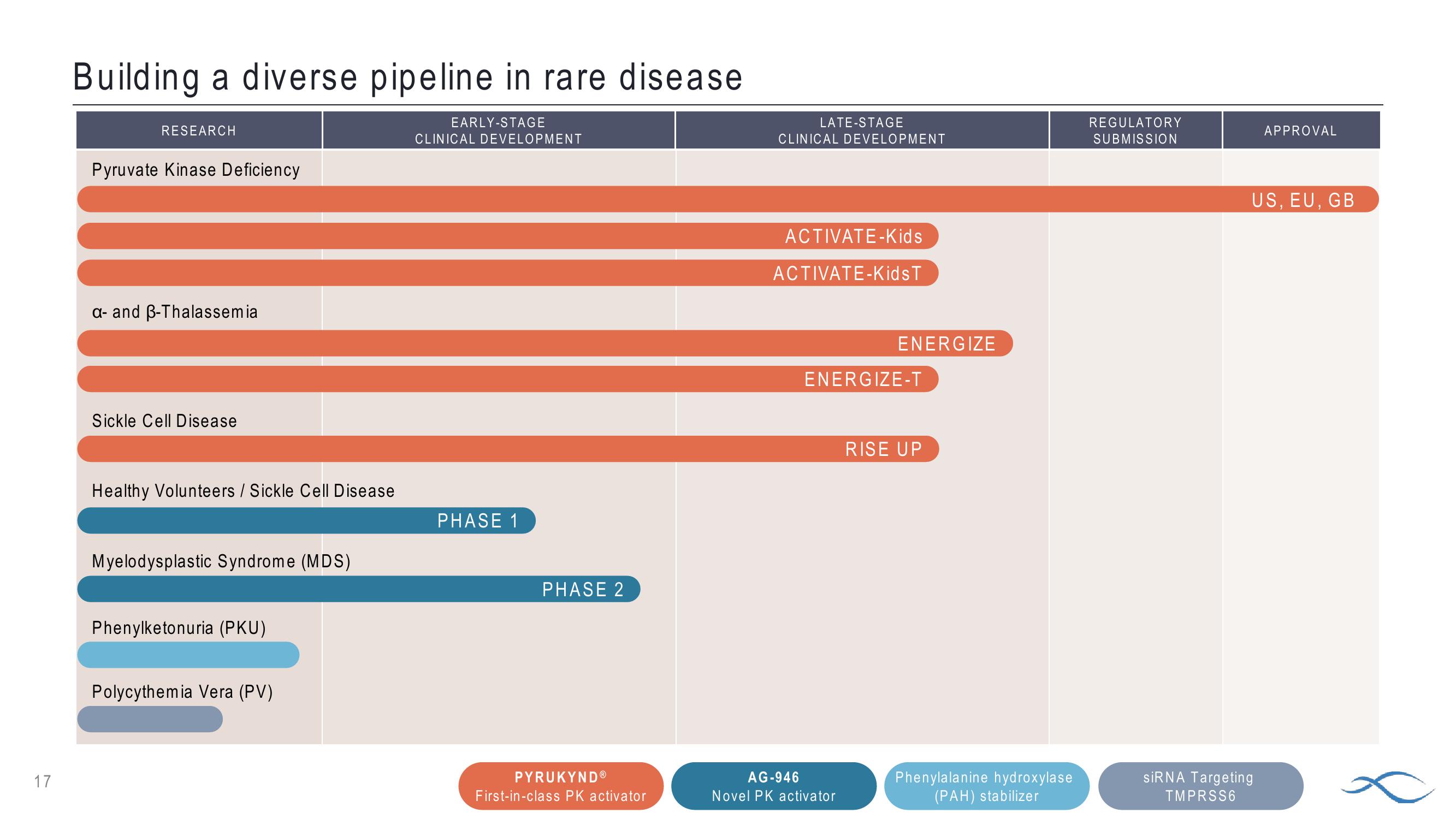 Topline Results: Phase 3 Energize Study of Pyrukynd in Thalassemia slide image #17