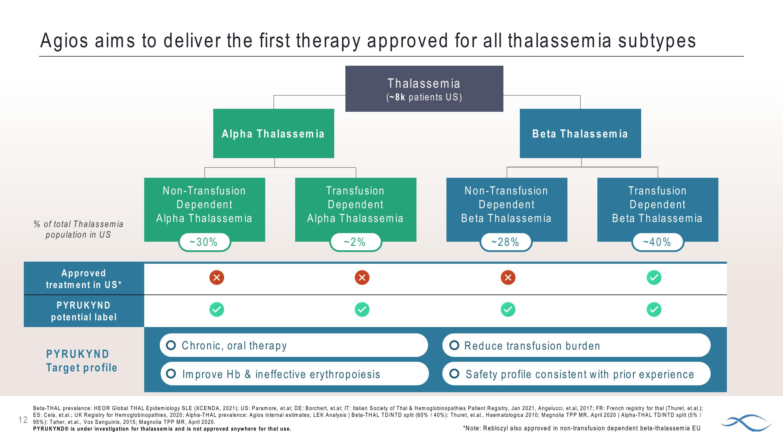 Topline Results: Phase 3 Energize Study of Pyrukynd in Thalassemia slide image #12