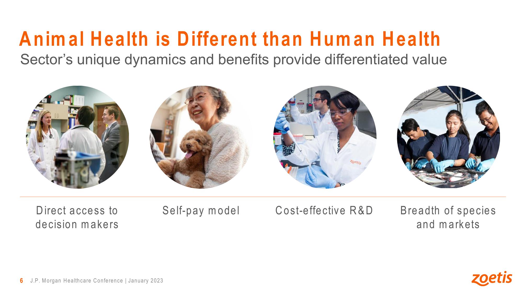 Leadership, Innovation and Growth in Animal Health slide image #6