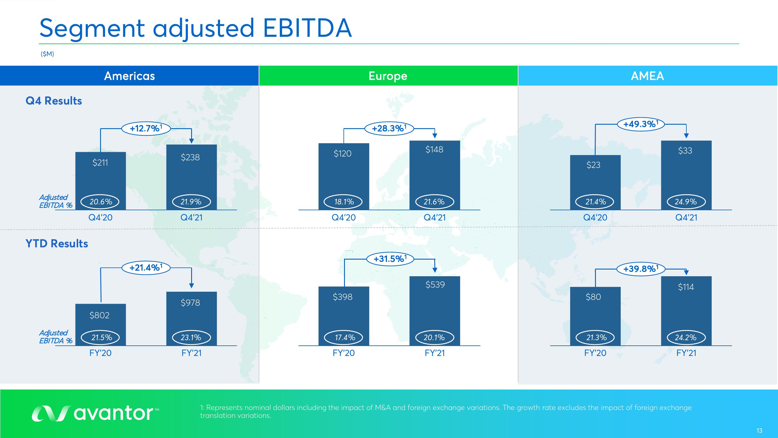 Avantor Results Presentation Deck slide image #13