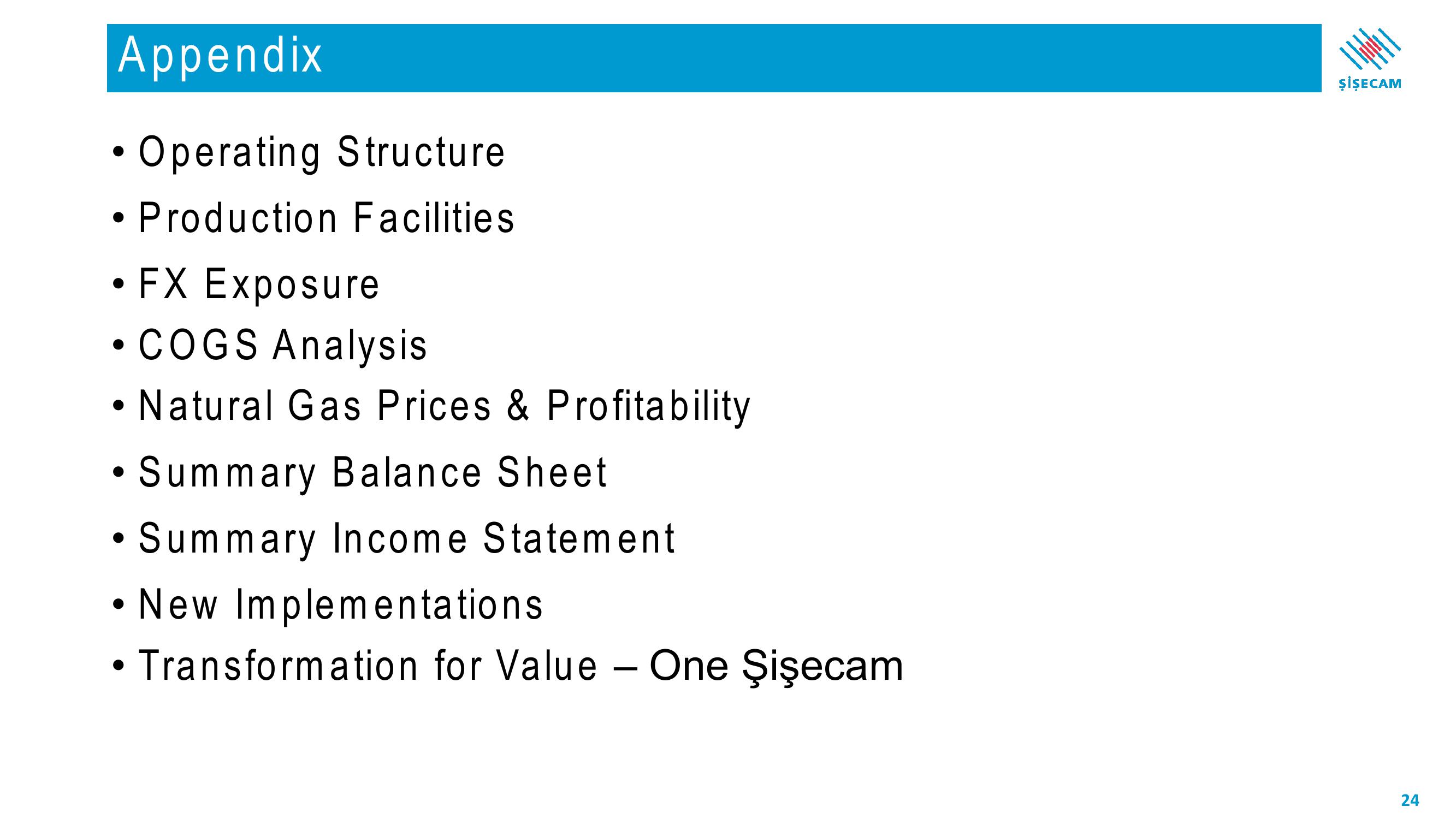 Sisecam Resources Investor Presentation Deck slide image #24