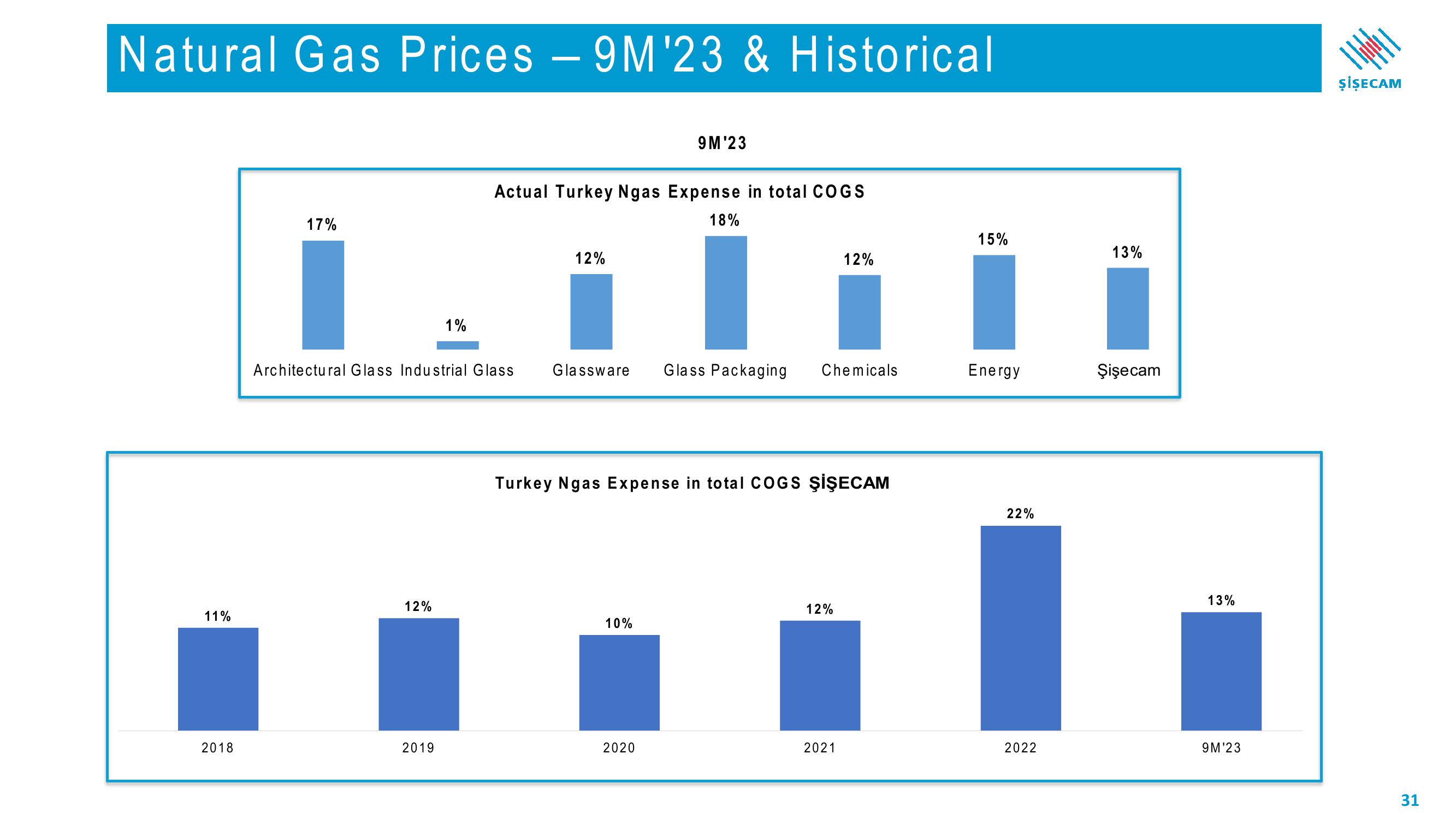 Sisecam Resources Investor Presentation Deck slide image #31