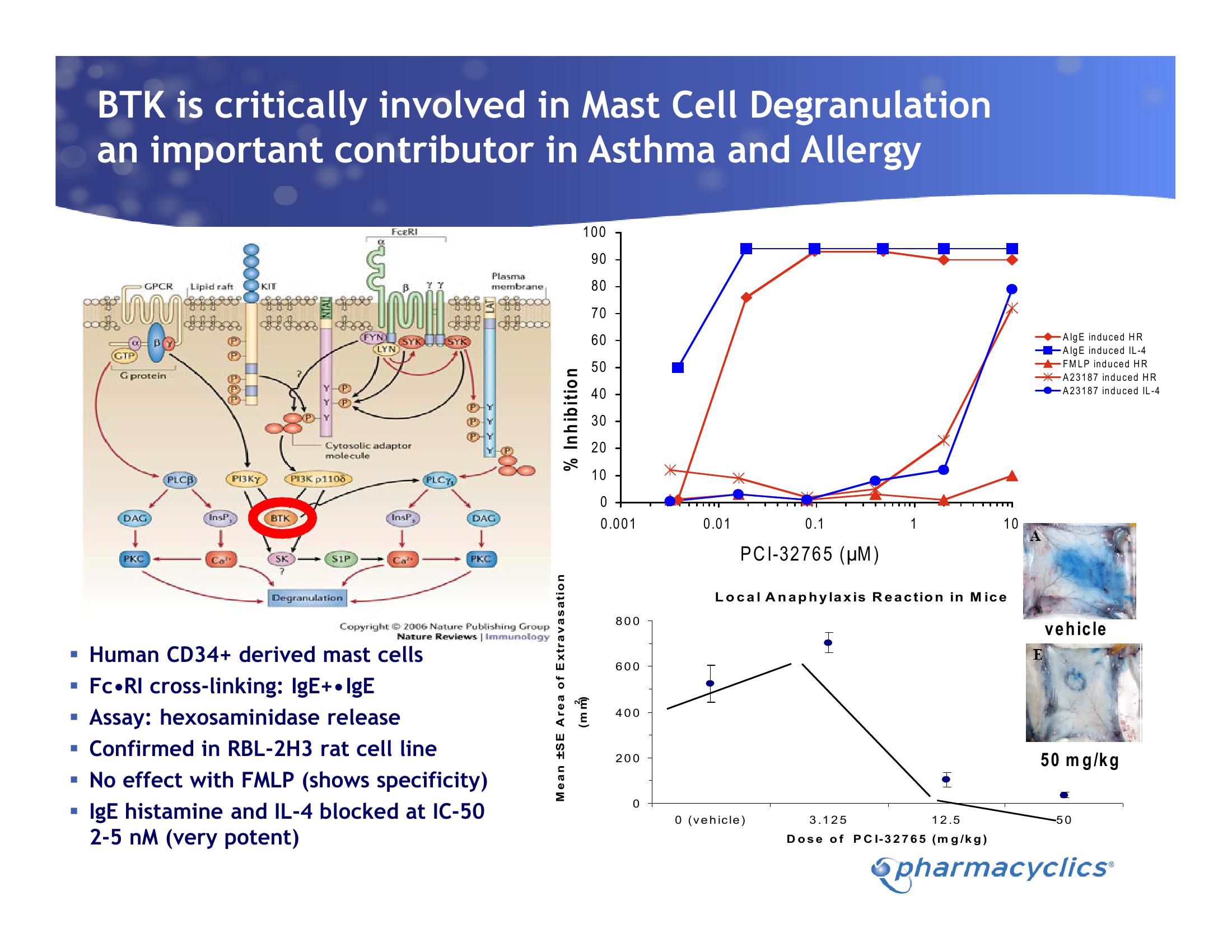 Investor Presentation slide image #16