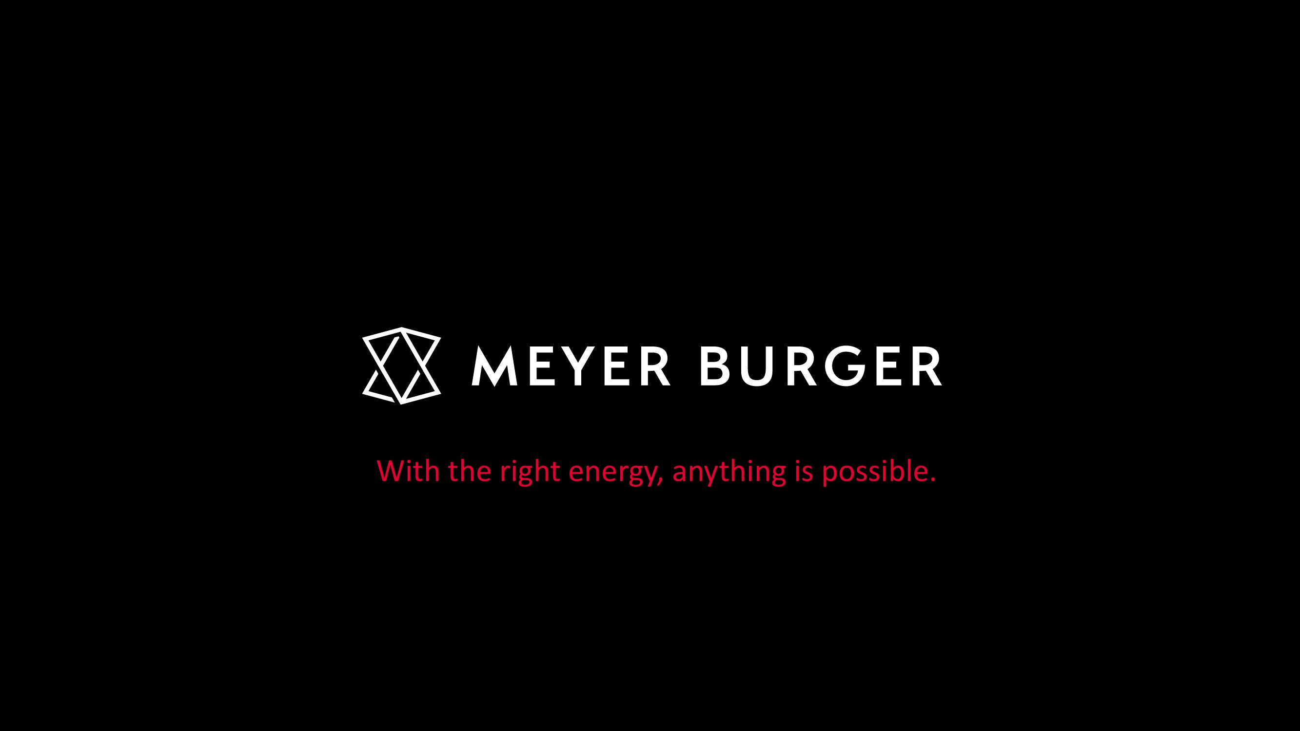 Meyer Burger Investor Presentation slide image #8