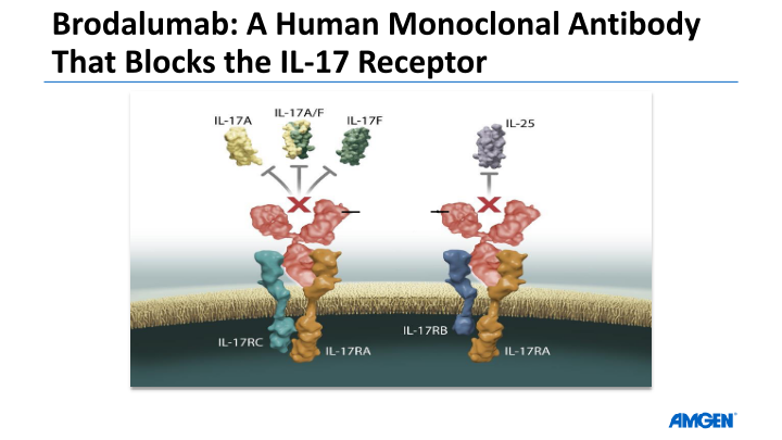 American Academy of Dermatology Investor Call slide image