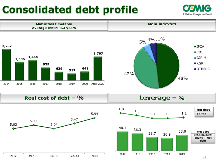 Cemig Company Presentation slide image #16