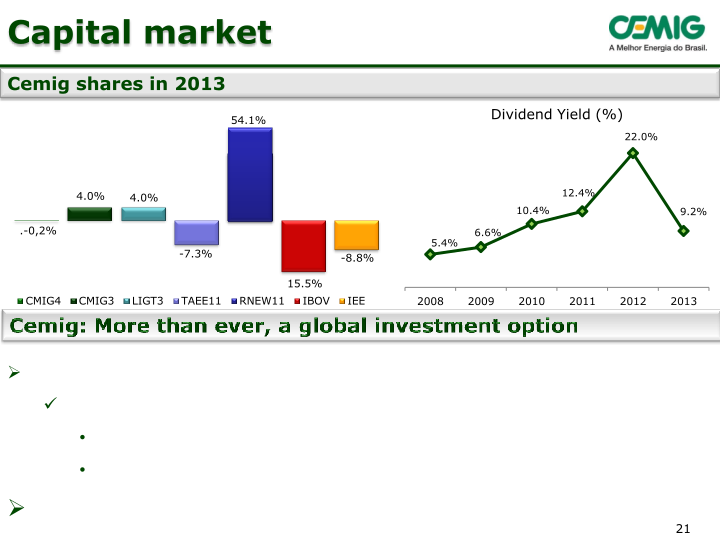 Cemig Company Presentation slide image #22