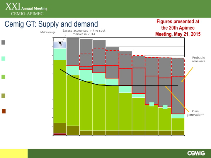 21st Annual Cemig-Apimec Meeting slide image #8