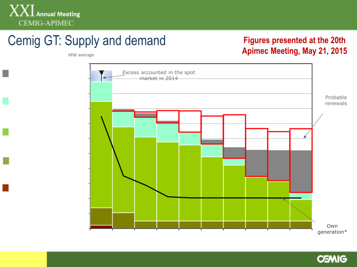 21st Annual Cemig-Apimec Meeting slide image #7