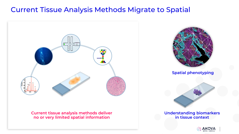 Akoya’s 2nd Annual Spatial Day slide image #8