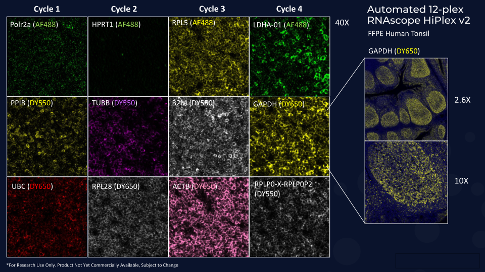 Akoya’s 2nd Annual Spatial Day slide image #23