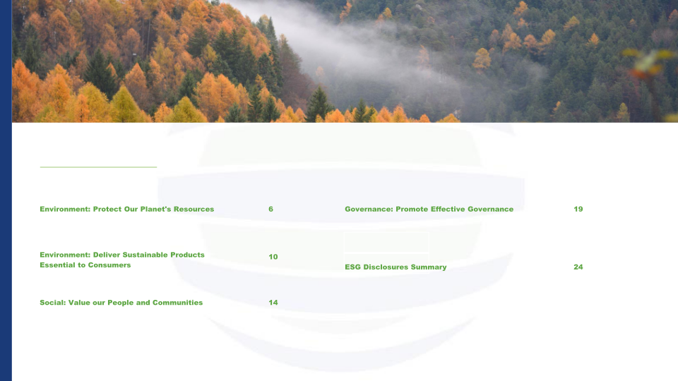 Environmental, Social & Governance Disclosures slide image #4