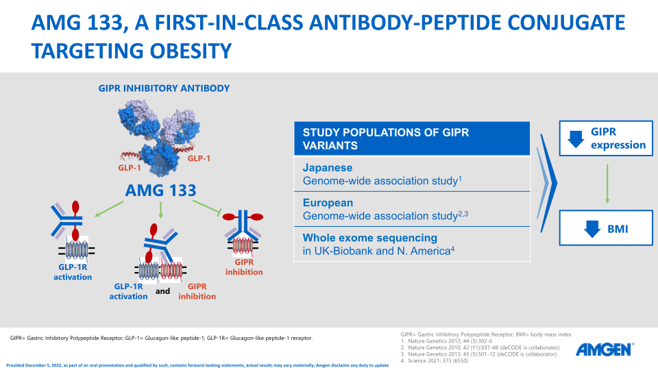 AMG 133 Program Update slide image #8