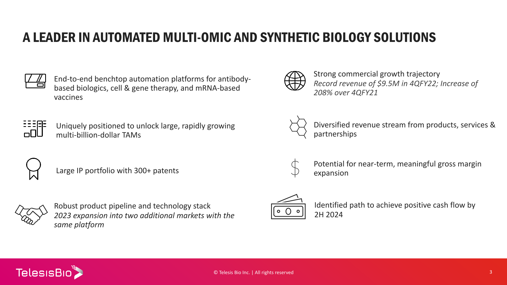 Investor Presentation slide image #4