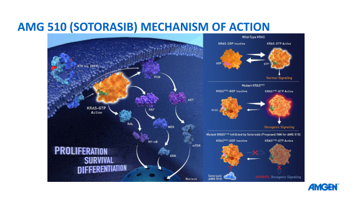 Amgen at Asco20 Virtual Scientific Program slide image #10