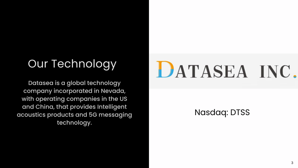 Datasea Inc. Investor Presentation slide image #4