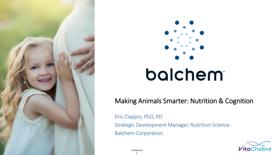 Making Animals Smarter: Nutrition & Cognition  image