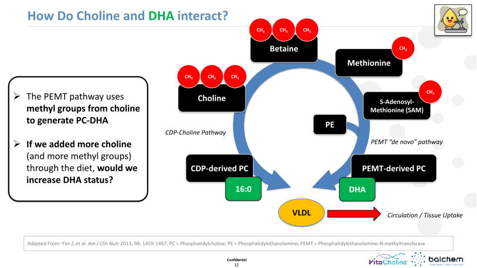 Making Animals Smarter: Nutrition & Cognition  slide image #33