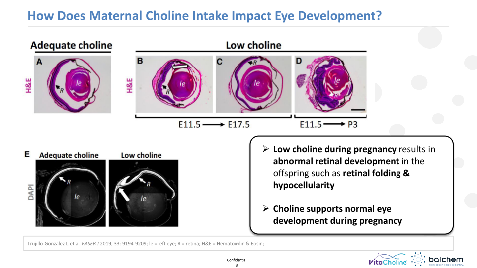 Making Animals Smarter: Nutrition & Cognition  slide image #9