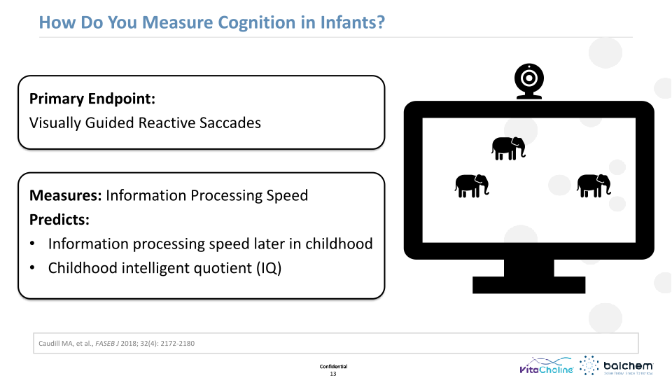 Making Animals Smarter: Nutrition & Cognition  slide image #14