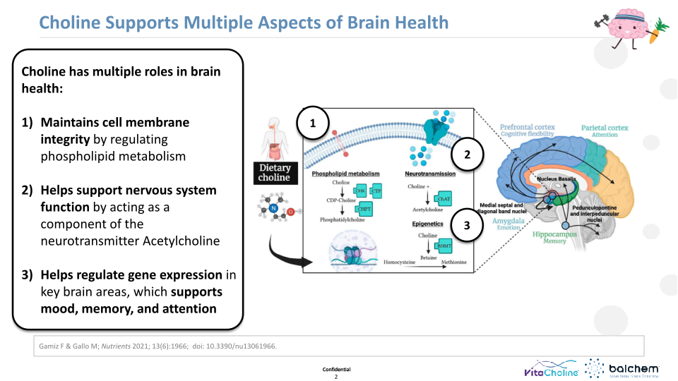 Making Animals Smarter: Nutrition & Cognition  slide image #3