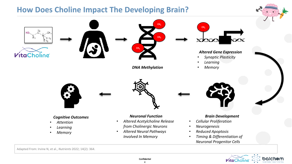 Making Animals Smarter: Nutrition & Cognition  slide image #5