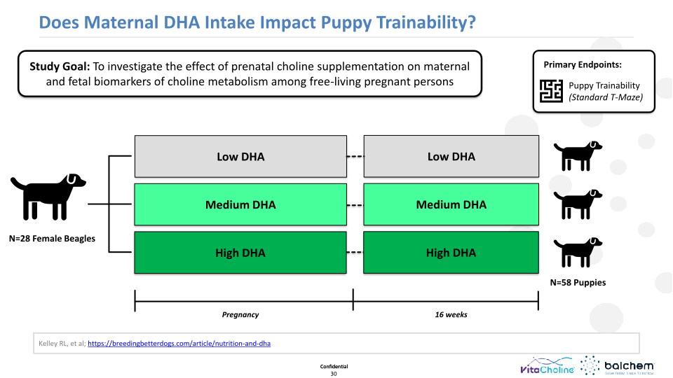 Making Animals Smarter: Nutrition & Cognition  slide image #31