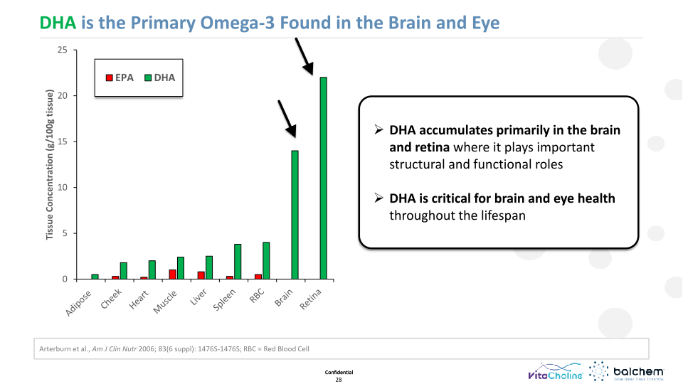 Making Animals Smarter: Nutrition & Cognition  slide image #29