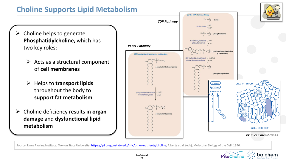 Making Animals Smarter: Nutrition & Cognition  slide image #23