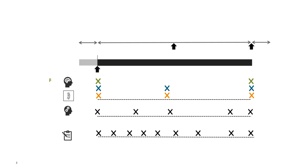 EMBARK: A Phase 3b, Open-label, Single-arm, Study to Evaluate the Long-term Safety and Efficacy of Aducanumab in Eligible Participants with Alzheimer’s Disease  slide image #14