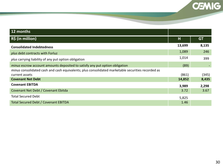 CEMIG Successful Strategy slide image #31