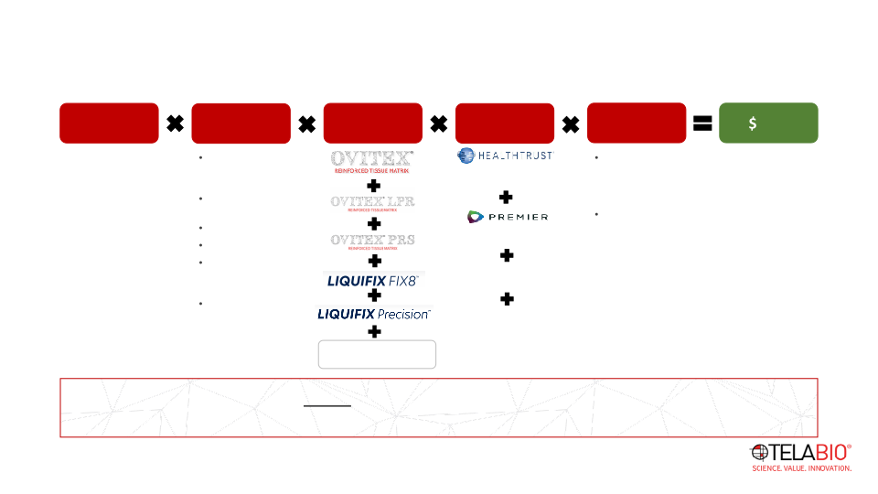 Telabio Investor Presentation slide image #18