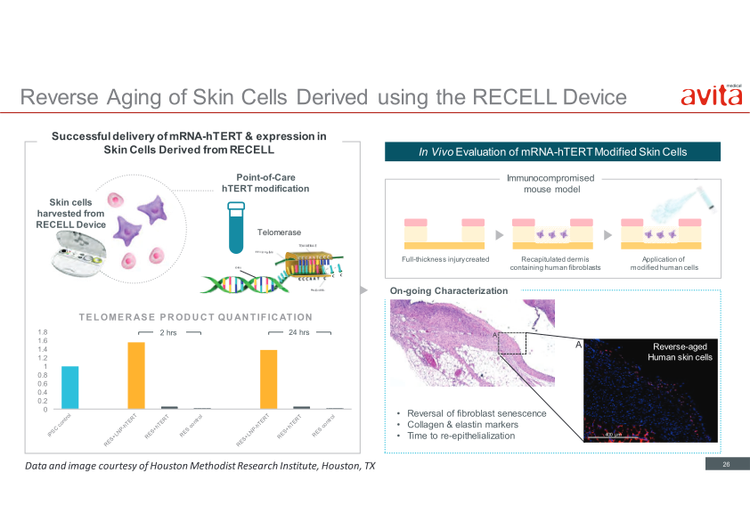 Avita Medical Presentation slide image #27