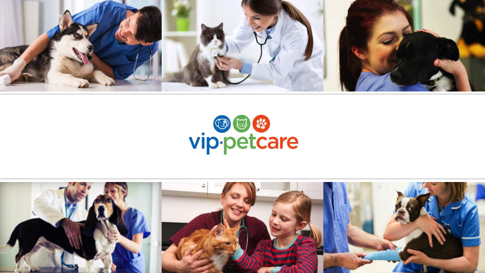 PetIQ to Acquire VIP PetCare Preliminary Unaudited 2017 Financial Outlook ICR Conference slide image #9