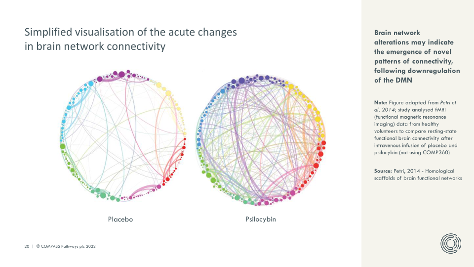 Transforming Mental Health Care slide image #21