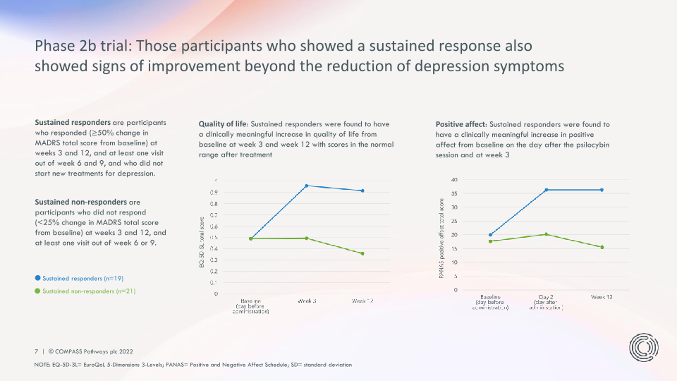 Transforming Mental Health Care slide image #8