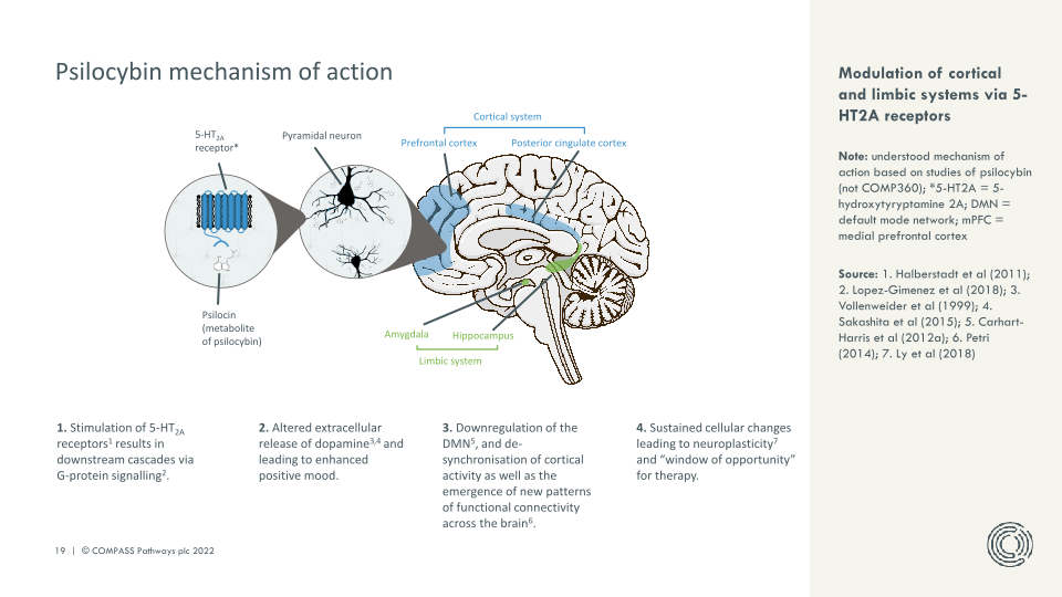 Transforming Mental Health Care slide image #20